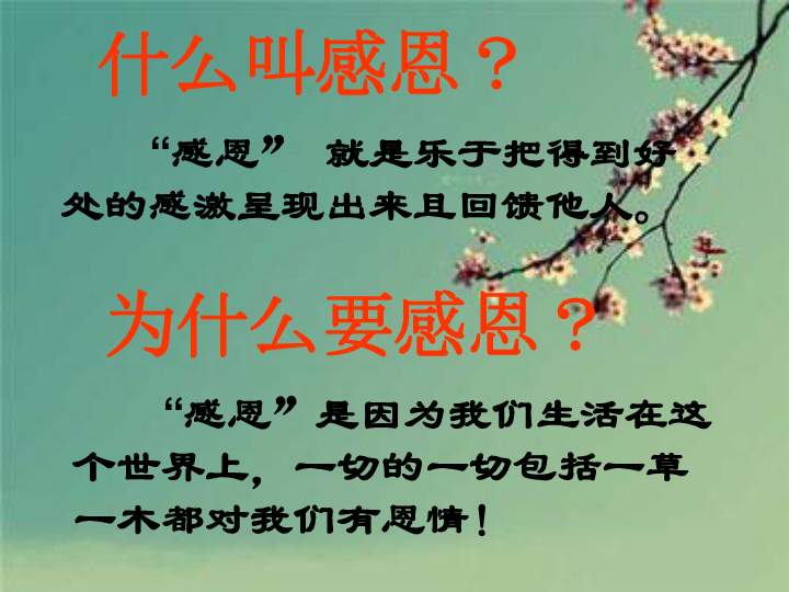 感恩之心，生肖之选—以感恩戴德为镜，谈时代中的落实与践行
