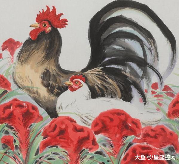 任劳任怨打一生肖，经典解释作答落实