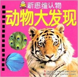 八面玲珑的动物，猜一动物及其发现与解释