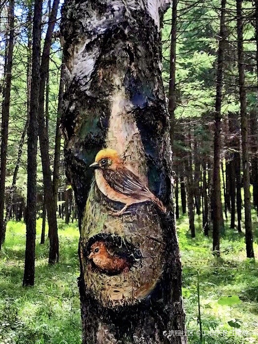 揭秘山上的生肖，自然与文化的奇妙融合