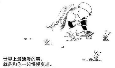 揭秘行百里者半九十与动物之谜，人生哲理的深度解析