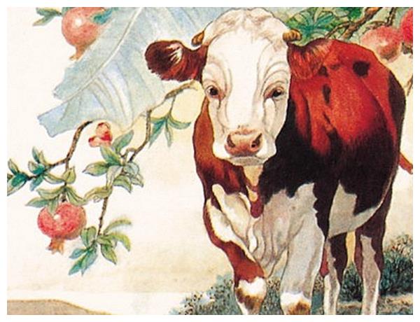 出手大方打一生肖，全面揭晓解释落实