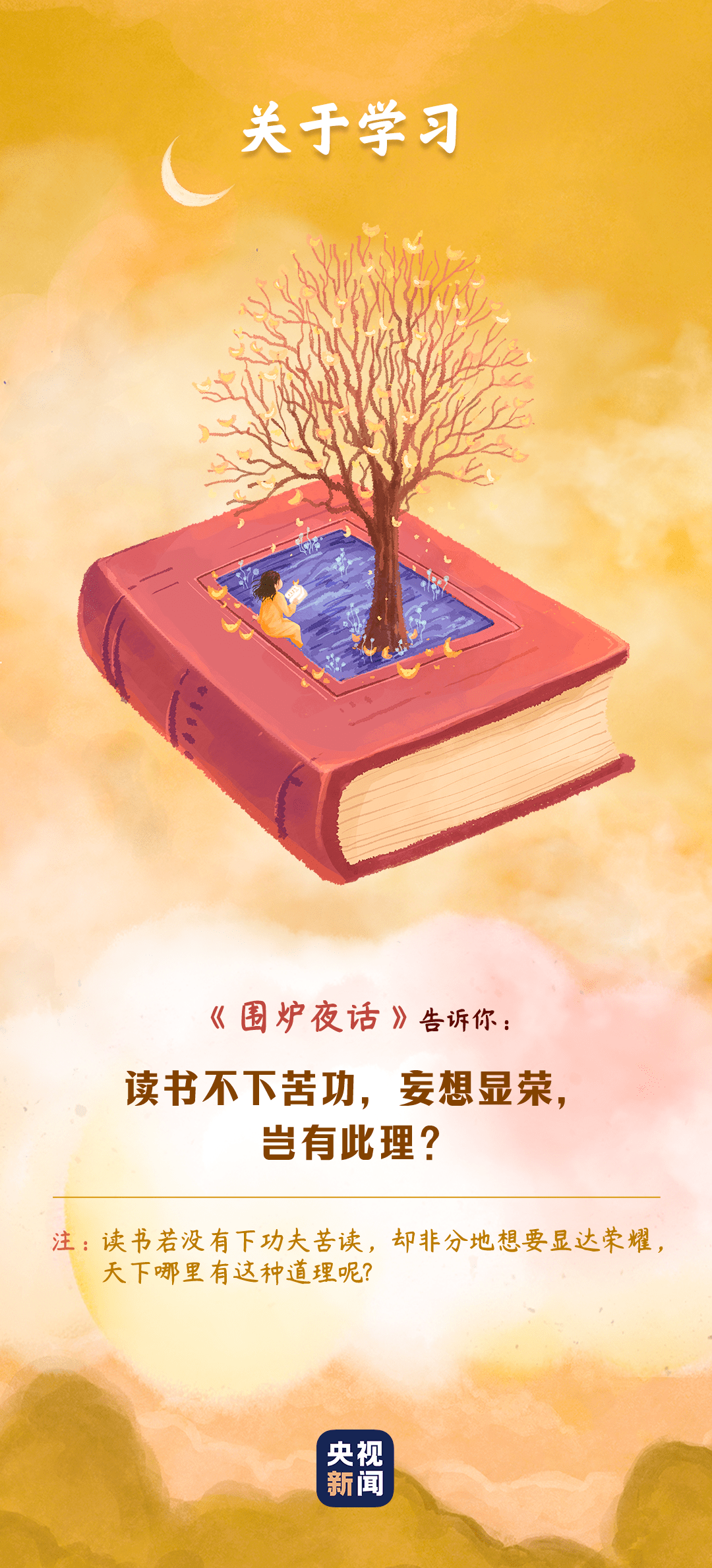 十二生肖的奥秘，探秘其中蕴含的智慧与文化