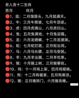 九天之外是指什么生肖，揭秘如何选择并落实正确的