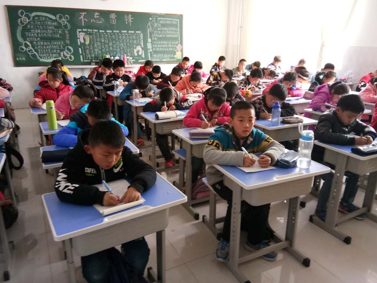 绿肖是哪几个生肖，积极作答，落实解释