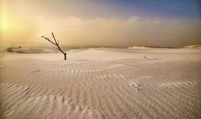 沙中土，揭秘生肖之谜与落实精神的实践