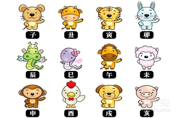 夜里行走的生肖，的不安分之选