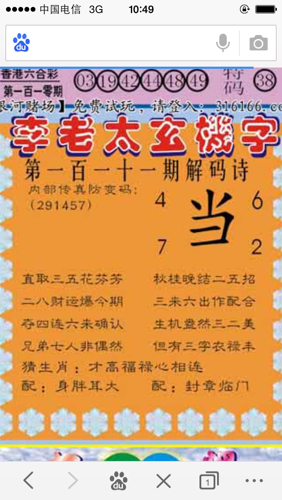 隐隐约约猜一生肖，社会进步与文化解析的微妙交织