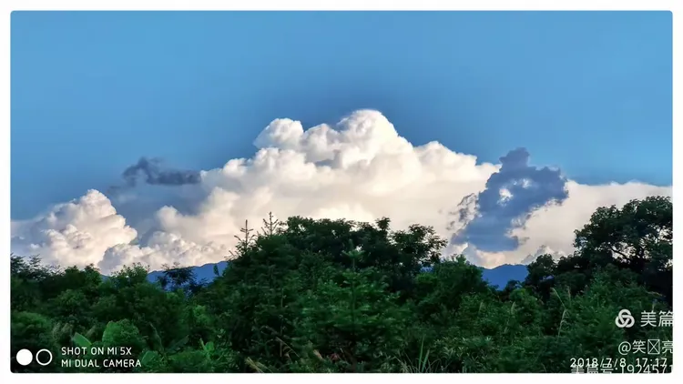 云散云聚，生肖之鼠的智慧与战略运用