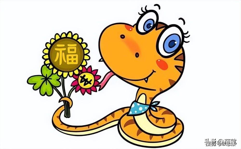 帮倒忙的生肖，成就解释与落实的智慧