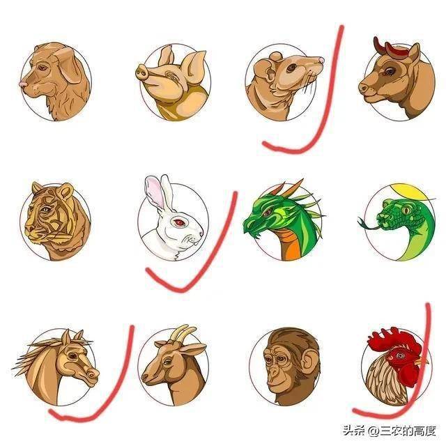 今日对冲生肖的奥秘与经典解释