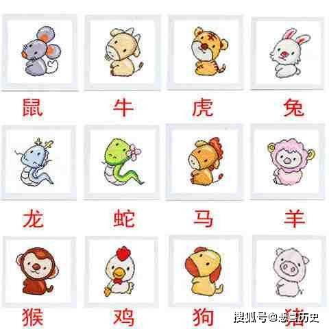 困难重重是什么生肖，全面揭晓解释落实