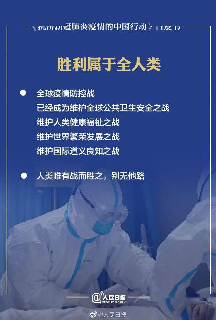 团结的力量，从拂袖而起中猜想的动物与实际行动的落实