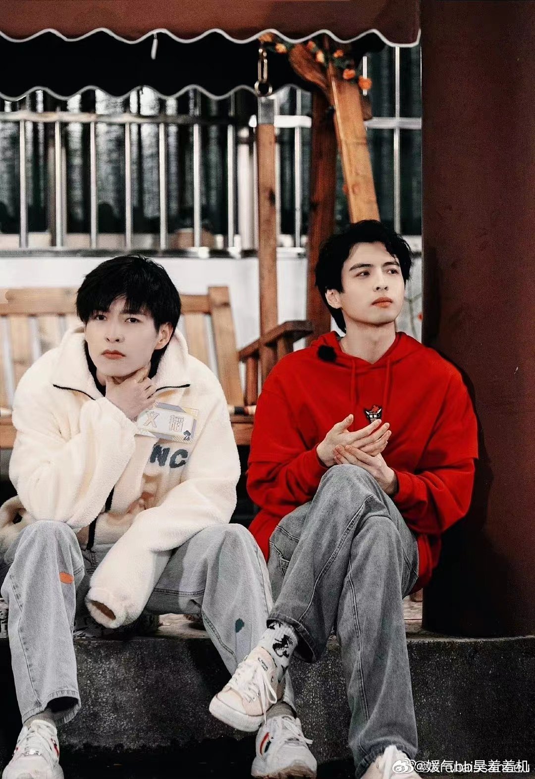 南北肖，揭秘中国生肖文化中的独特概念