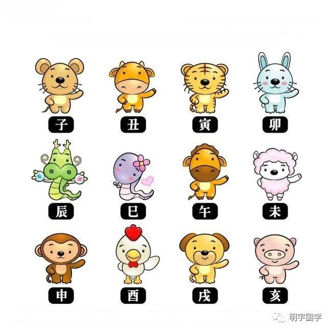 骄阳似火，一场生肖误读的探索与反思