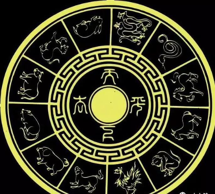 碧波荡漾猜一生肖，探寻生肖之谜的奥秘