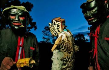 揭秘道听途说的生肖，从谣言到真相的探索