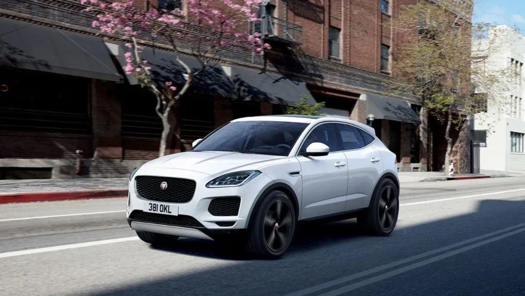 瞬息万变，生肖中的灵动之兔