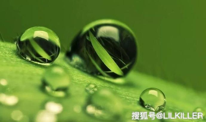 幸运数字的奥秘，生肖鼠的专属密码