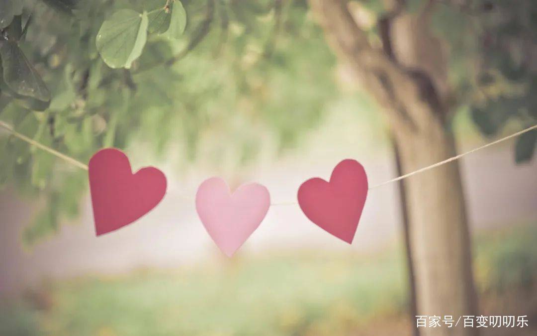 情人节开什么生肖，背后的智慧与哲理