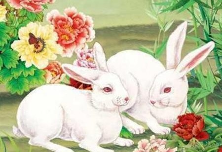 荣华富贵的生肖是什么，团结解释落实