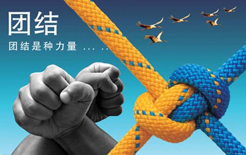 团结的力量，从盛气凌人到落实的动物启示