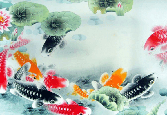 如鱼得水代表什么生肖，一场误导解释的落实与反思