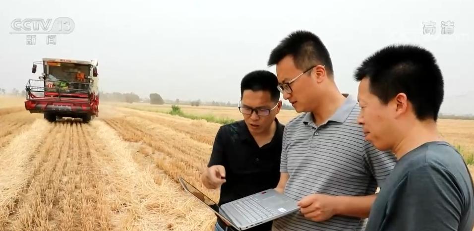 西方生肖文化，探索与定量解析