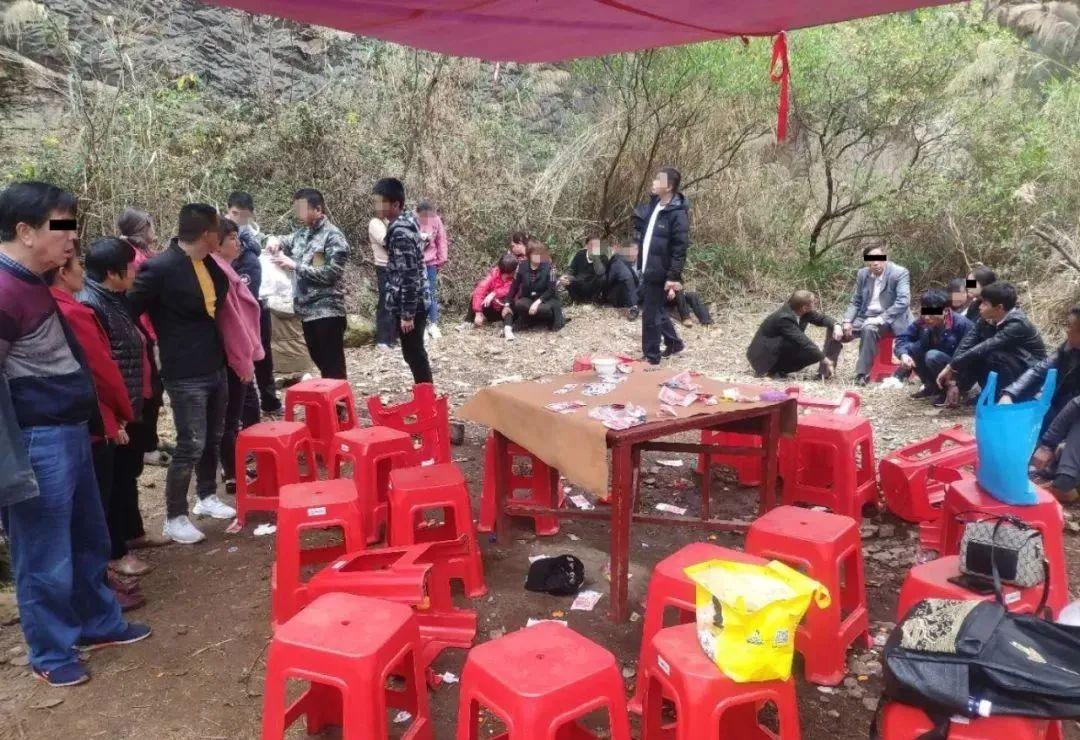 顺藤摸瓜，揭秘生肖之谜