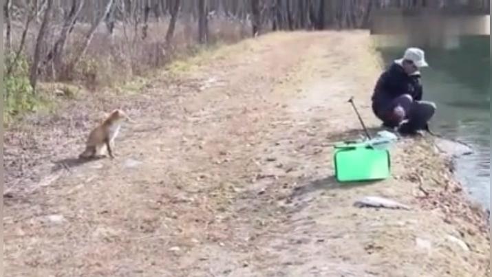 战战兢兢，揭秘生肖中的谨慎之王—鼠的智慧与选择