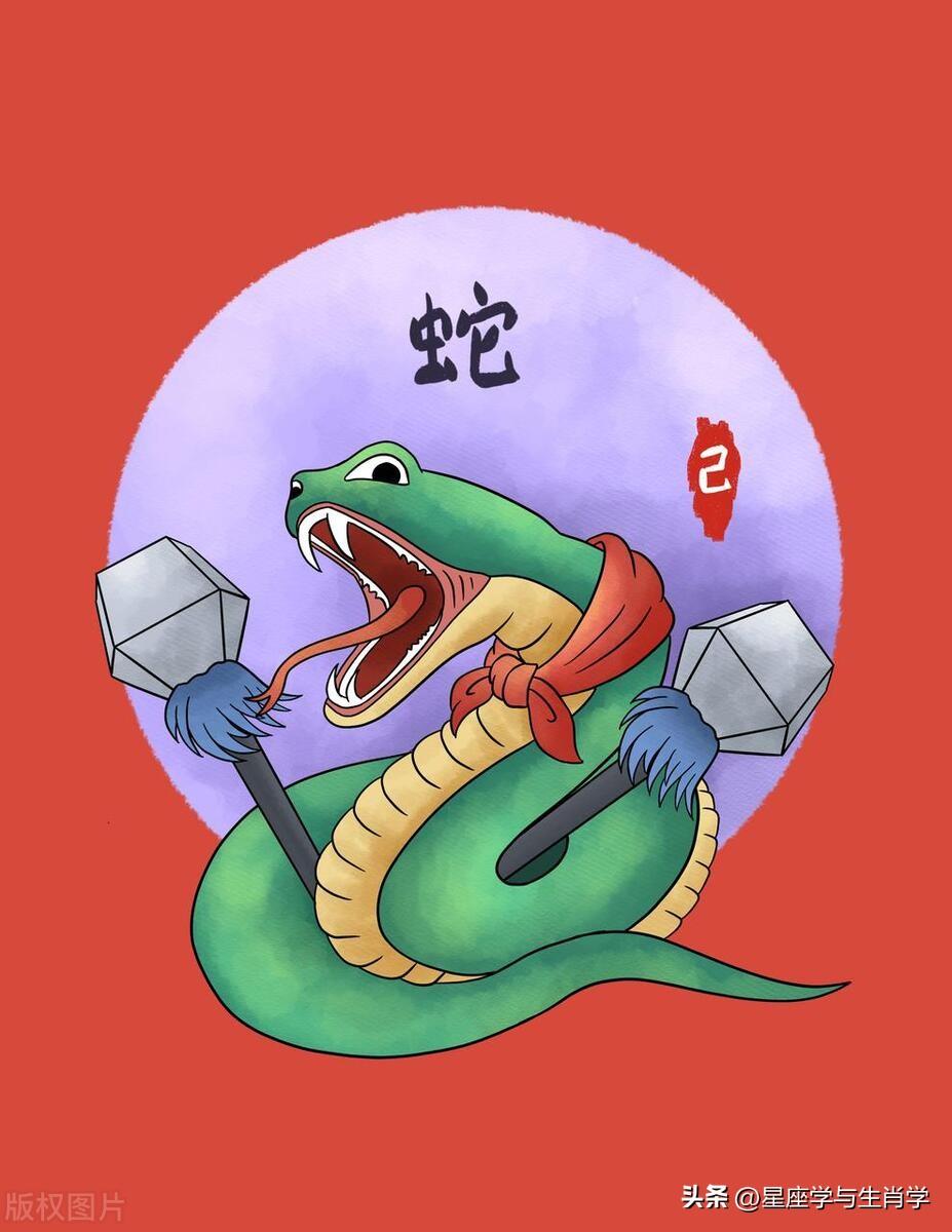 七上八落，生肖背后的智慧与思考