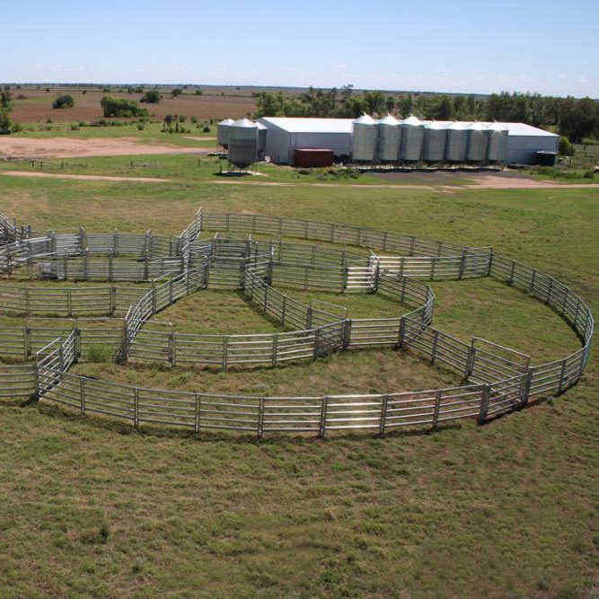 谜语探秘，二三五八四面围，猜一动物