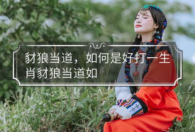 豺狼当道打一正确生肖，真相解释落实