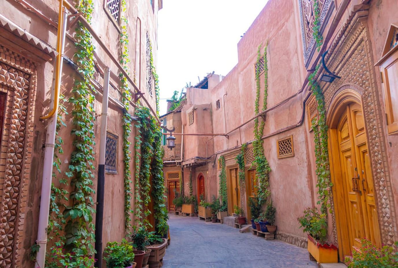 众矢之的猜一动物，揭秘背后的文化寓意