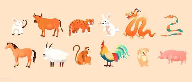 揭秘取长补短，生肖中的智慧之选