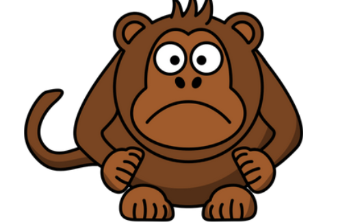 女人的动物是什么生肖，的不安分之选