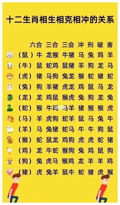 今日相冲生肖是什么，精选解析与落实的详细结果