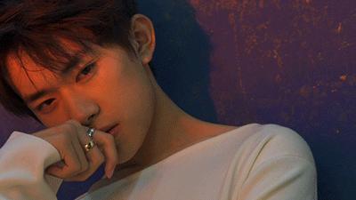 生肖狗与什么生肖配对，沉稳作答落实解释