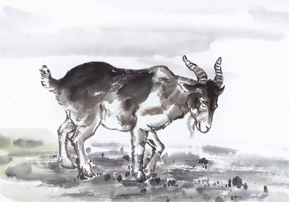 孙武属什么生肖，真相解释落实