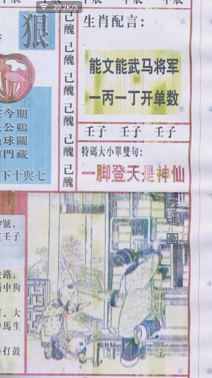 藏头露尾猜一生肖?全面解析与落实