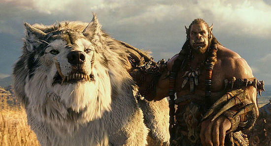 揭秘浴血奋战背后的神秘动物—探秘斗牛士的英勇与智慧