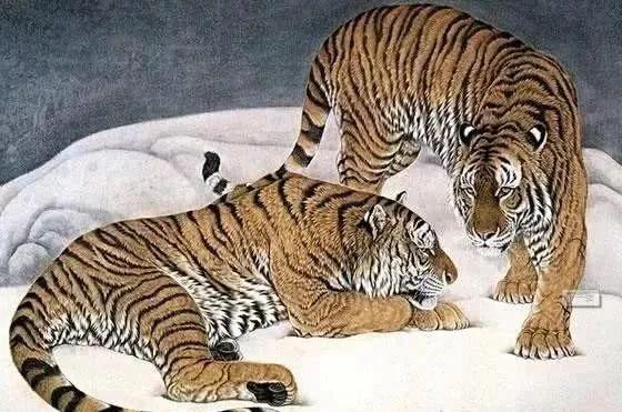 拂袖而起，生肖中的坚韧与不屈—以虎为例