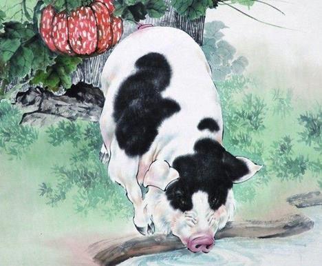 心事重重打一正确生肖，全面解析与落实