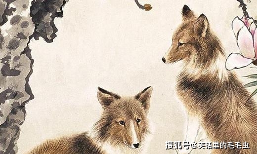 锲而不舍打一生肖动物,详细作答落实解释 锲而不舍打一生肖动物,详细作答落实解释