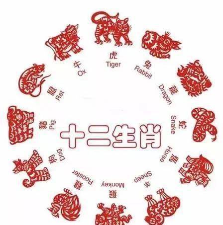 忘形的动物，生肖之谜的深度解析