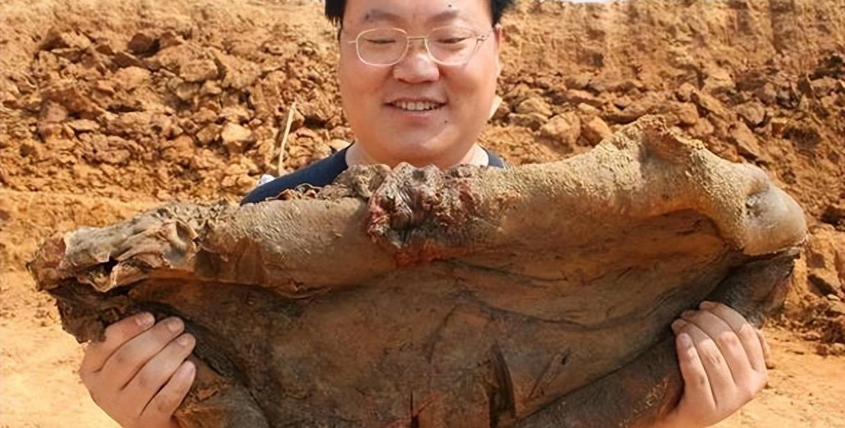 白云苍狗，生肖之谜的精选解析与落实