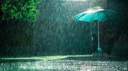 风雨交加是什么生肖，一场误导解释的落实与反思
