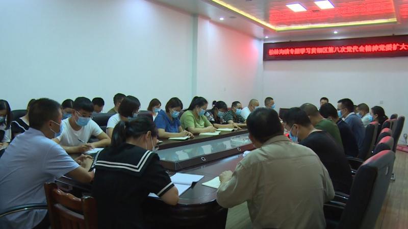 盗钟掩耳是什么生肖，热议解释落实