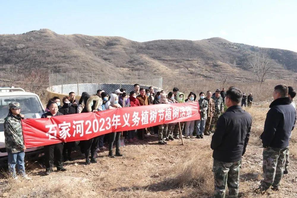 武则天是属什么生肖，无限解释落实