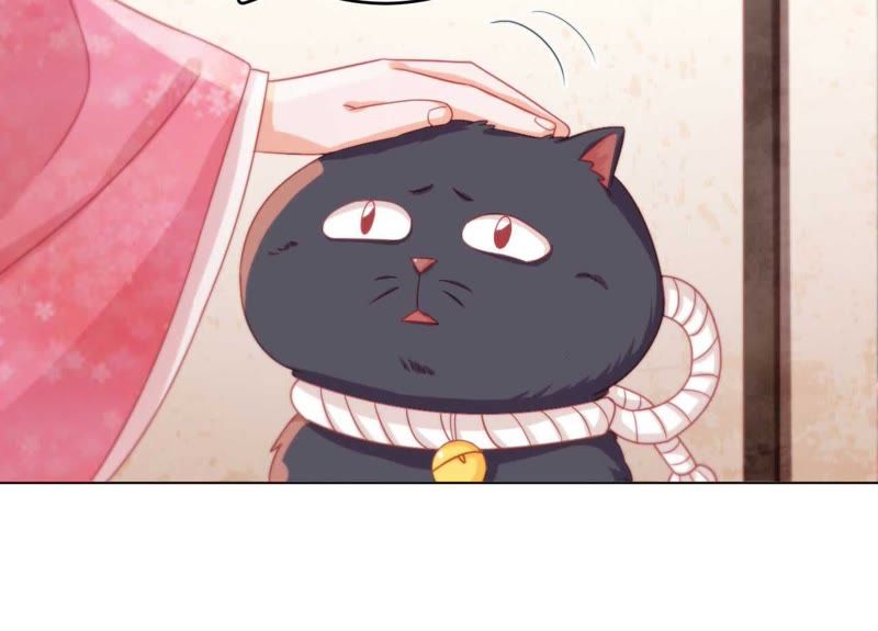 不寒而栗猜一生肖，精选解析与落实的详细结果